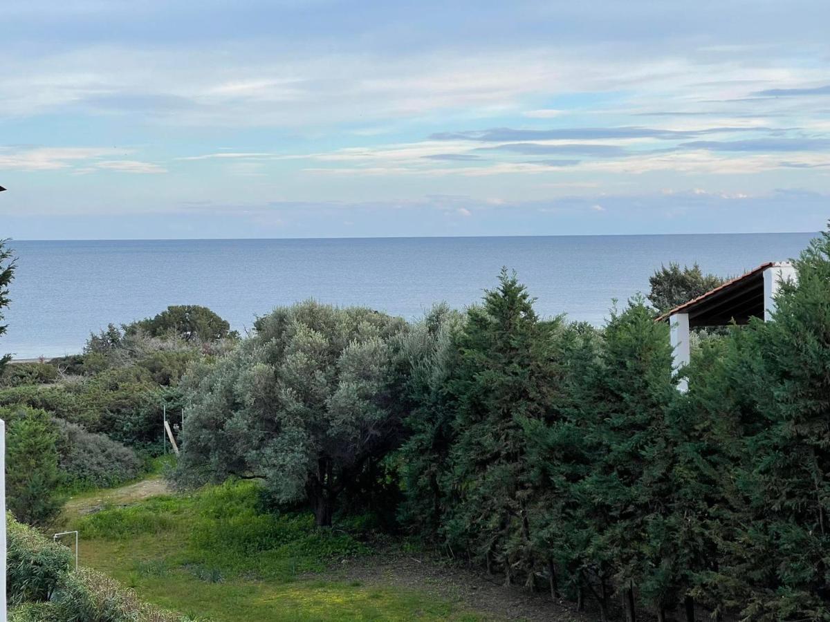Appartement Beachfront Socrates